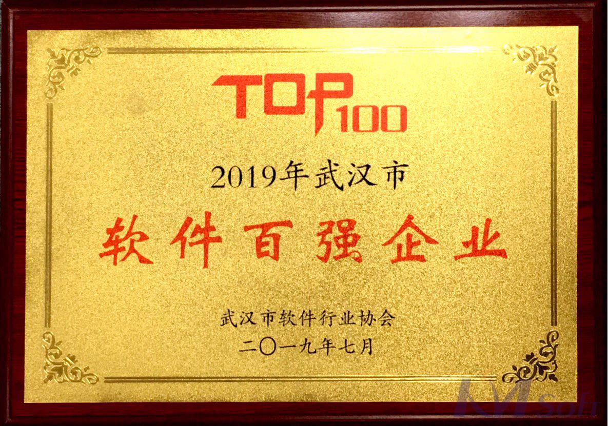 好消息！開目公司榮登武漢軟件百強榜